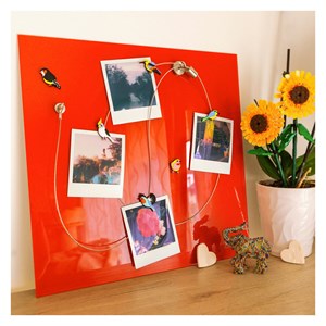 Câble porte photos et magnets  bleu