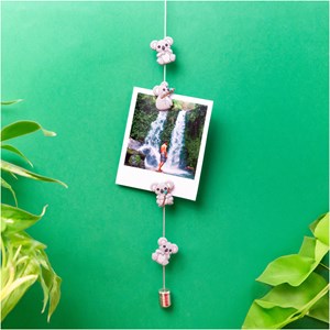 Câble porte photos et magnets  gris