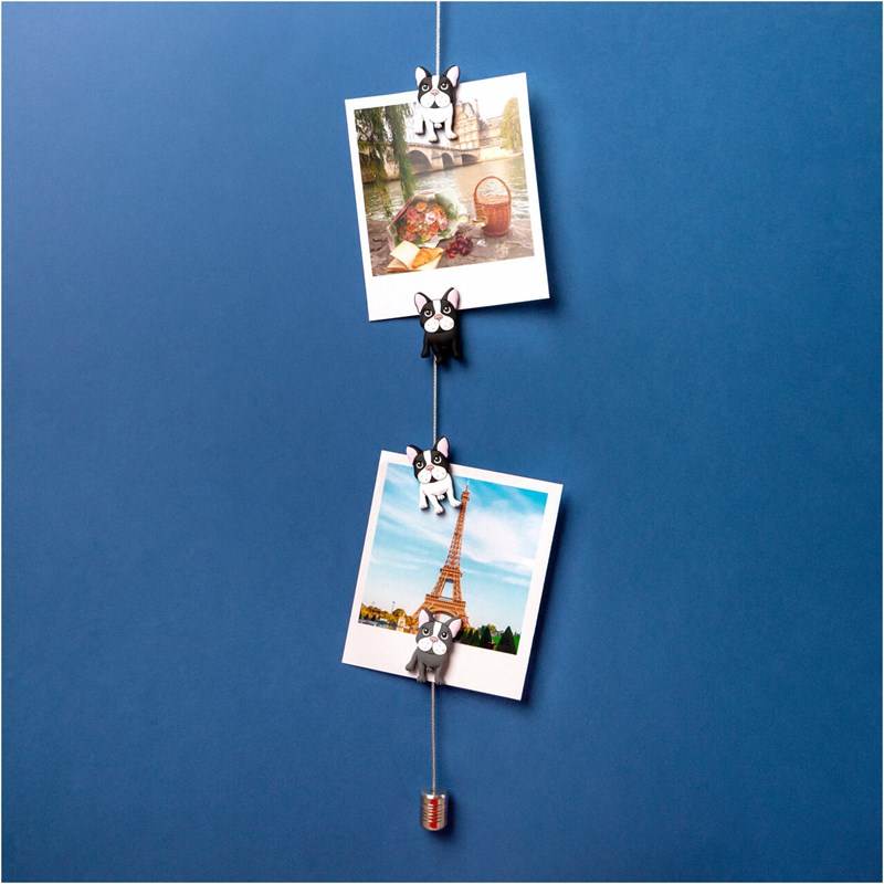 Câble porte photos et magnets bulldog