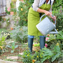 Lot de 5 panneaux de clôture de jardin métal noir