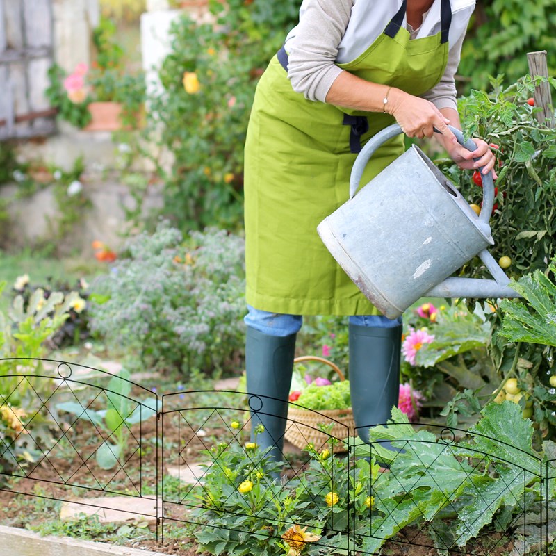 Lot de 5 panneaux de clôture de jardin métal noir