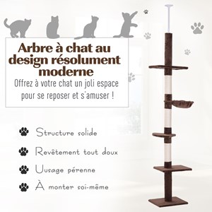 Arbre à chat 5 niveaux d'activités