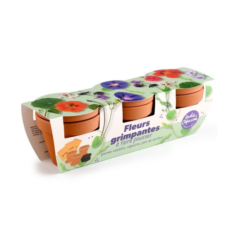 Kit jardinage fleurs grimpants - trio