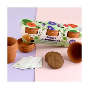 Kit jardinage fleurs grimpants - trio