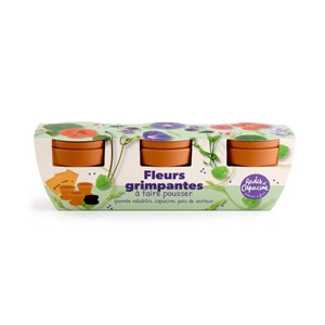 Kit jardinage fleurs grimpants - trio