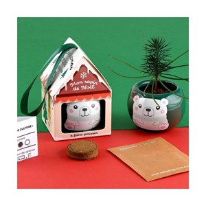Maison sapin noël - epicea