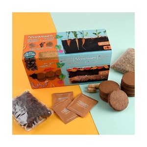 Vivarium racines vers de terre