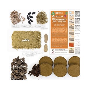 Vivarium racines vers de terre