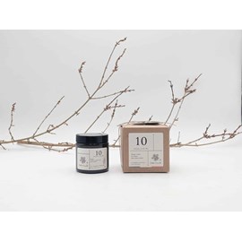 Bougie apothicaire 100g aiguille de pin 10