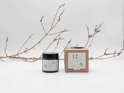 Bougie apothicaire 100g eucalyptus orange 12