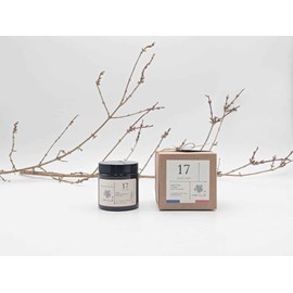 Bougie apothicaire 100g aloe vera 17