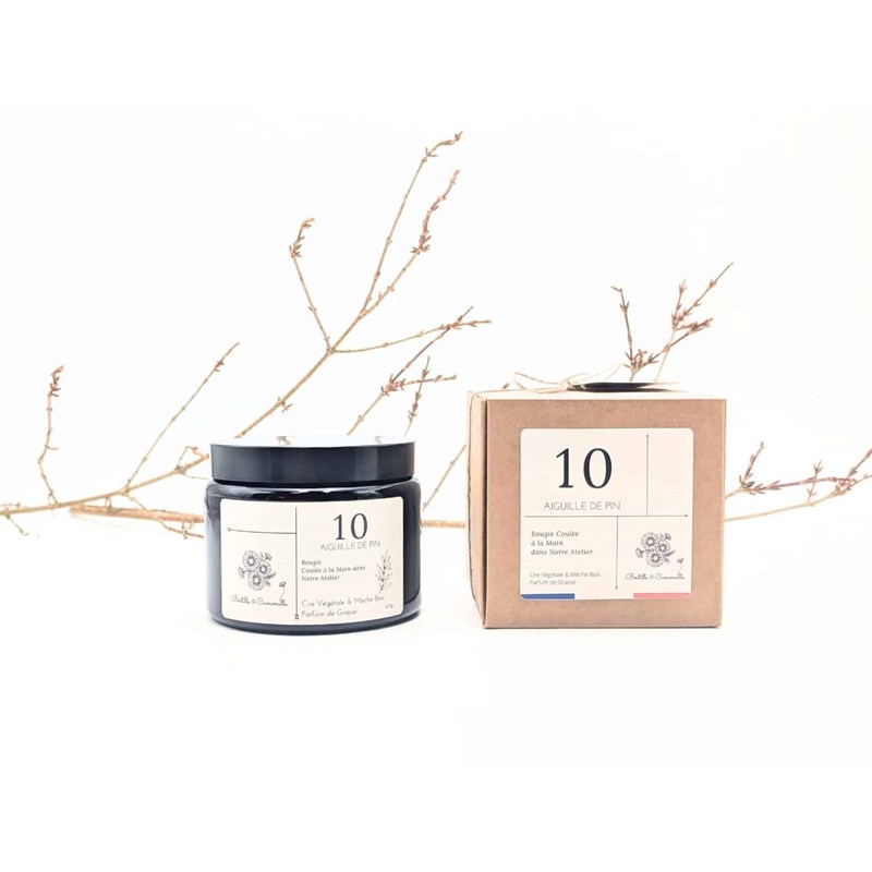 Bougie apothicaire 470g aiguille de pin 10