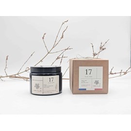 Bougie apothicaire 470g aloe vera 17
