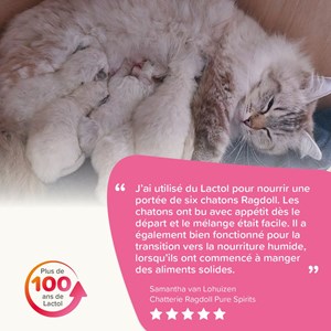 Lait maternisé chaton - beaphar