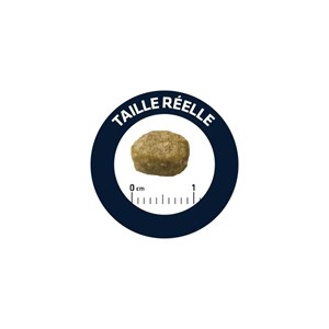 Croquettes chat adult sterilized hairball - advance