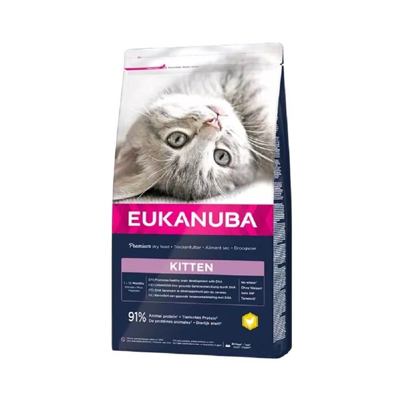 Eukanuba - Croquettes chaton -  eukanuba kitten healthy start