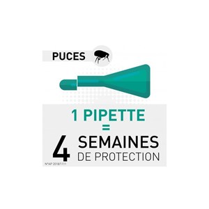 Frontline chat spot on -  boehringer