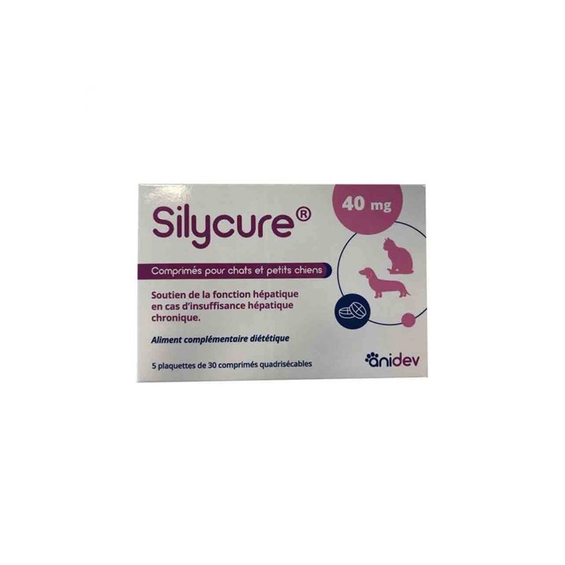 Sylicure 40 mg - anidev