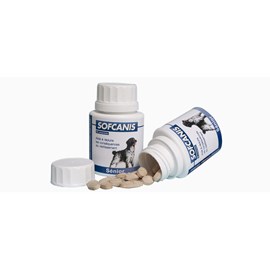 Sofcanis senior - moureau