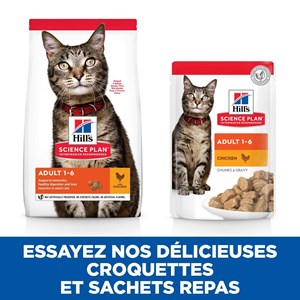 Croquettes chat science plan adult poulet - hill's