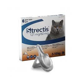Strectis chat (5-10 kg) - ceva