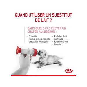 Lait maternisé chaton - babycat milk - royal canin