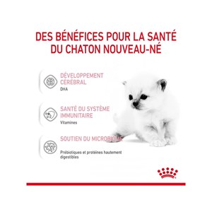 Lait maternisé chaton - babycat milk - royal canin