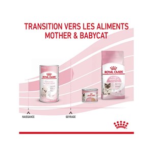Lait maternisé chaton - babycat milk - royal canin