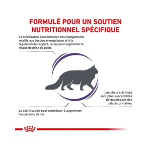 Croquettes chat veterinary cat neutered satiety balance - royal canin