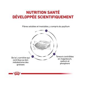 Croquettes chat veterinary cat neutered satiety balance - royal canin