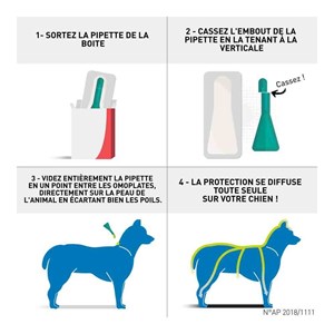 Frontline spot on chien s (2-10 kg) -  boehringer