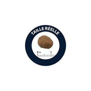 Croquettes chat adult poulet riz - advance