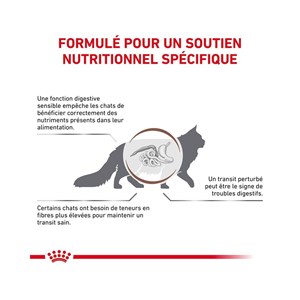 Patée royal canin chat - gastrointestinal fibre response