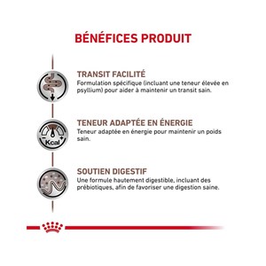 Patée royal canin chat - gastrointestinal fibre response