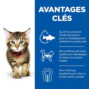 Patee chat science plan kitten mixte - hill's