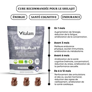 Gummies shilajit pur de l'himalaya avec de l'acide fulvique en sachet de 45