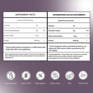 Gummies shilajit pur de l'himalaya avec de l'acide fulvique en sachet de 45