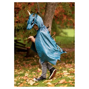 Cape de dragon starry night