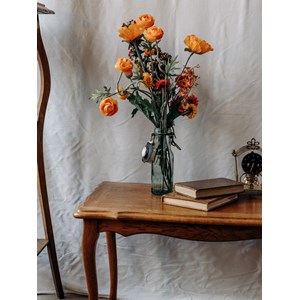 Table basse en bois clair n°338