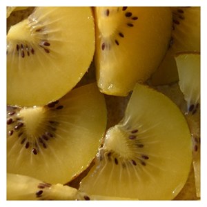 Godet - kiwi chinensis minkigold (femelle)