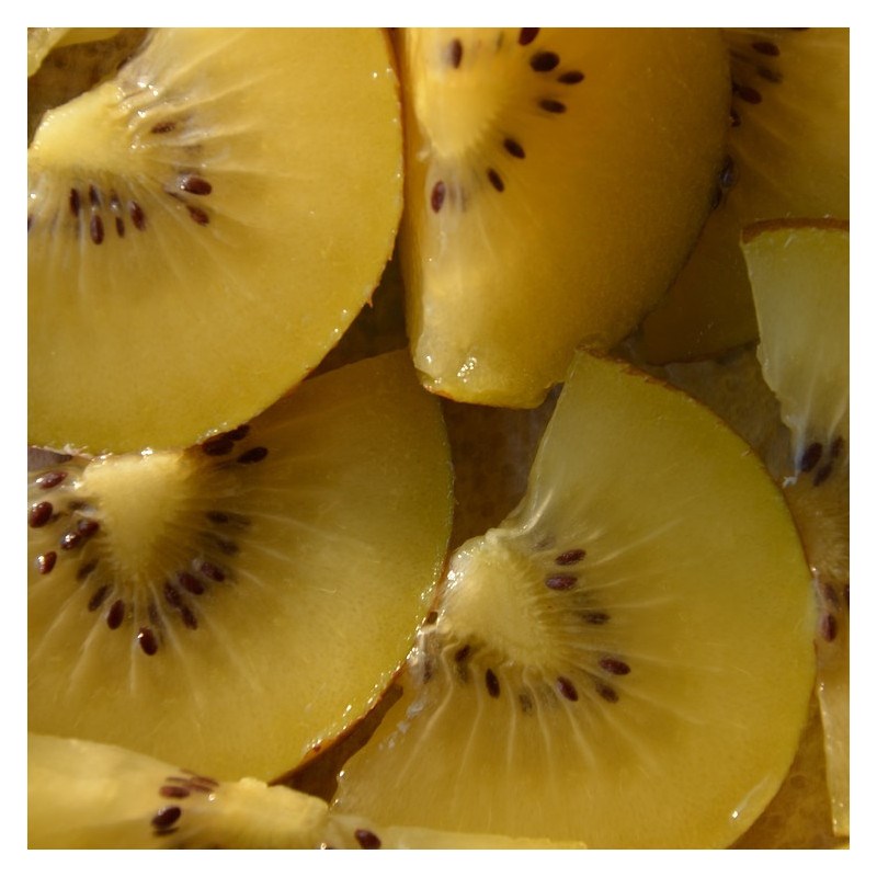 Godet - kiwi chinensis minkigold (femelle)