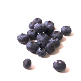 Myrtille jersey, myrtillier - pot de 2l