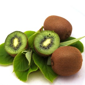 Kiwi solo (autofertile) - pot de 2l