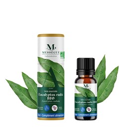 Huile essentielle eucalyptus radié bio 10 ml