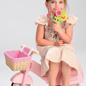 Porteur scooter avec panier