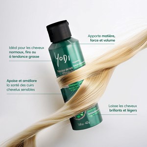 Shampoing poudre moussant - nutritive argan