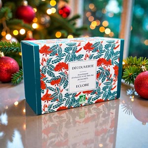 Coffret découverte : 24 infusettes de thés et tisanes bio différents