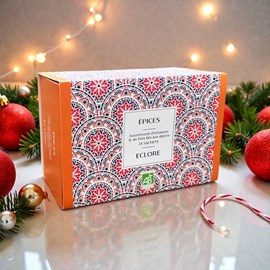 Coffret de 4 tisanes bio aux épices et 2 thés bio aux épices - 24 infusettes