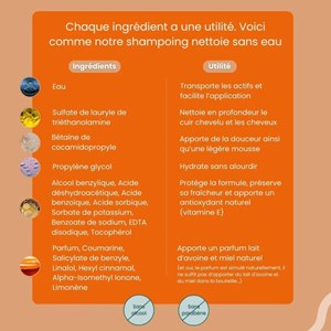 Shampooing sans rinçage balo 100 ml