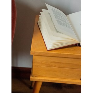 Brigitte, la travailleuse en bois n°143